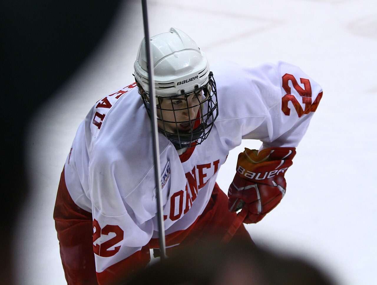 Gavin McKenna Maple Leafs Rookie Season: What the 18-Year-Old Has Shown So Far