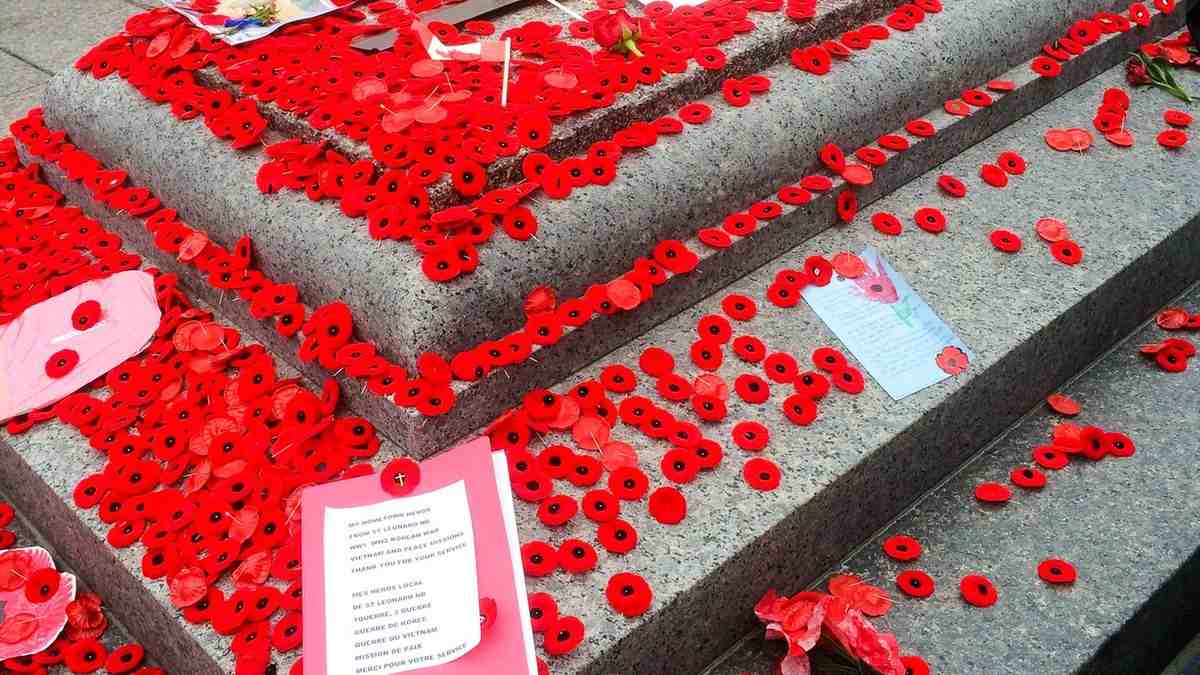 Red poppies laid on the Tomb of the Unknown Soldier at a Remembrance Day ceremony