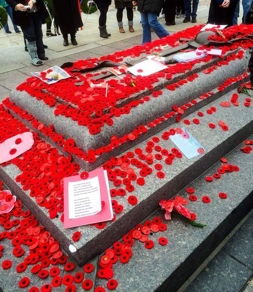 Red poppies laid on the Tomb of the Unknown Soldier at a Remembrance Day ceremony